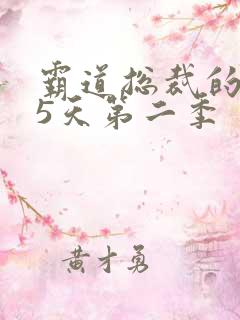 霸道总裁的365天第二季