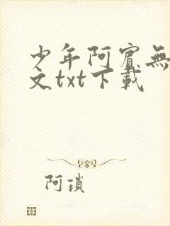 少年阿宾无删全文txt下载