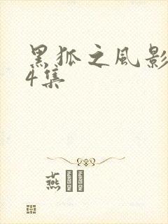 黑狐之风影第24集