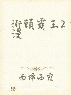 街头霸王2 动漫