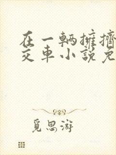 在一辆拥挤的公交车小说免费阅读