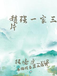 赵强一家三口照片