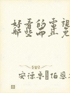 好看的电视剧有哪些而且免费