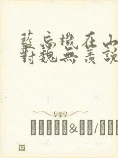 蓝忘机在山洞里对魏无羡说了什么