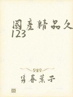 国产精品久久久123