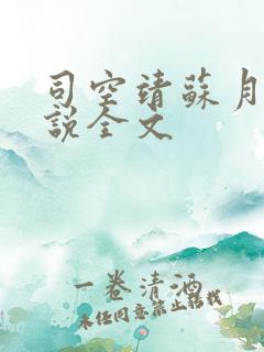 司空靖苏月汐小说全文