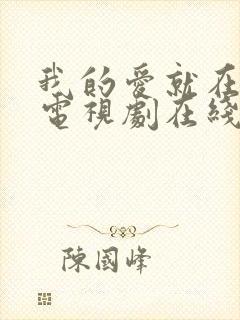 我的爱就在身边电视剧在线观看