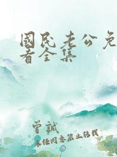 国民老公免费观看全集