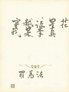 穿越流星花园之我是李真