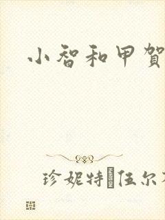 小智和甲贺忍蛙