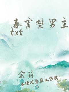春宵双男主小说txt