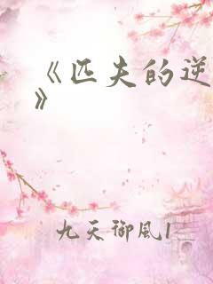 《匹夫的逆袭2》