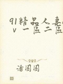 91精品人妻aⅴ一区二区