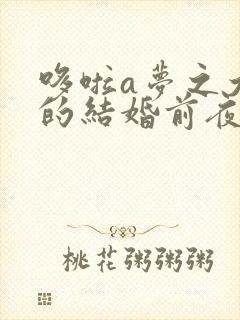 哆啦a梦之大雄的结婚前夜