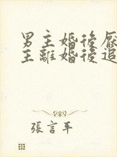 男主婚后厌恶女主离婚后追妻