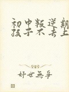 初中叛逆期的男孩子不去上学怎么去引导