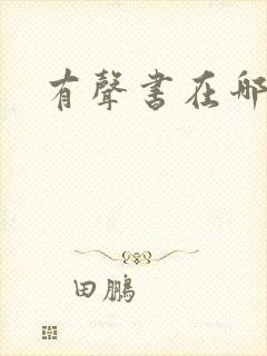 有声书在哪里听