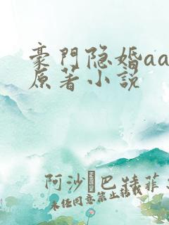 豪门隐婚aa制原著小说