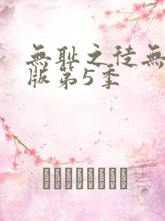 无耻之徒无删减版第5季