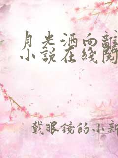 月光洒向离人巷小说在线阅读