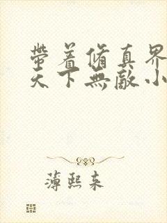 带着修真界仙子天下无敌小说