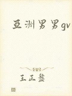 亚洲男男gv