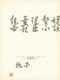 观看从赘婿到女帝宠臣小说