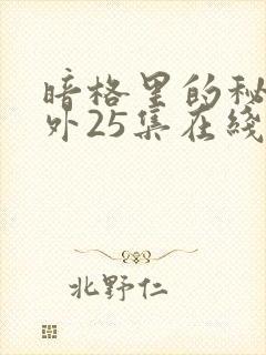暗格里的秘密番外25集在线观看