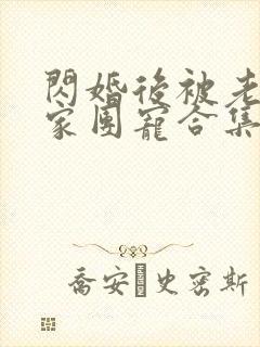 闪婚后被老公全家团宠合集