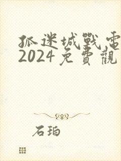 孤迷城战电视剧2024免费观看
