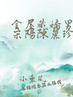 金屋藏娇男主角宋阳陈丽珍