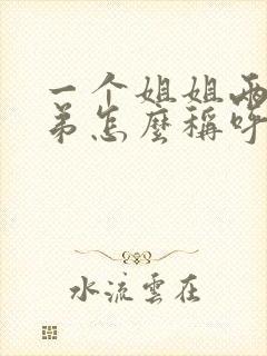 一个姐姐两个弟弟怎么称呼