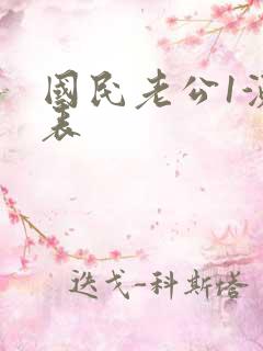 国民老公1演员表