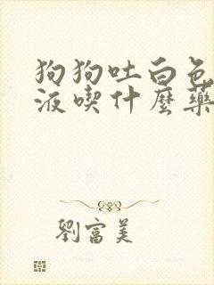 狗狗吐白色的黏液吃什么药好