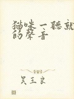 猫咪一听就过来的声音