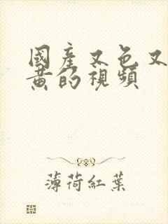 国产又色又爽又黄的视频