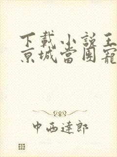 下载小说王妃在京城当团宠