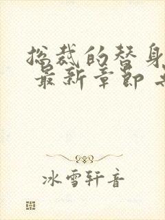 总裁的替身前妻 最新章节 无弹窗