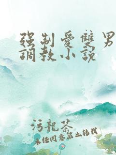 强制爱双男训诫调教小说