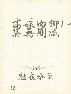 高嫁肉柳1~4集无删减