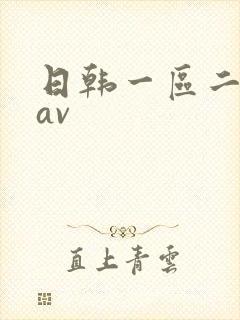 日韩一区二区 av