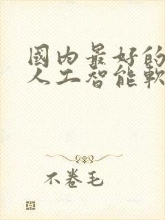 国内最好的ai人工智能软件