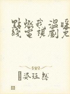 点燃我温暖你在线电视剧免费观看