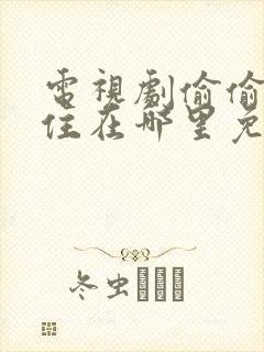 电视剧偷偷藏不住在哪里免费看