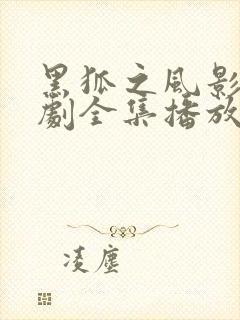 黑狐之风影电视剧全集播放