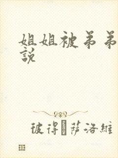 姐姐被弟弟艹小说