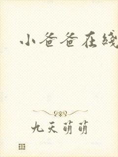 小爸爸在线播放