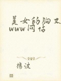 美女的胸又大又www网站
