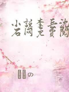 小说李兵沈思顽石网免费阅读