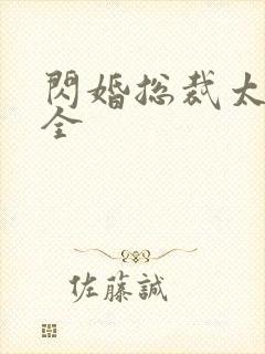 闪婚总裁太霸道全